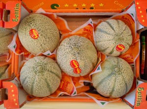 Melone Cantalupo